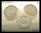 bacillus subtilis